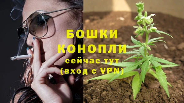 PSILOCYBIN Бугульма